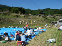 2013年 棚田オーナー収穫祭 - 雲一つ無い晴天