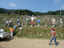 2014年 棚田オーナー稲刈り - 案山子たちを集める