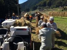 2014年 棚田オーナー収穫祭 - 脱穀