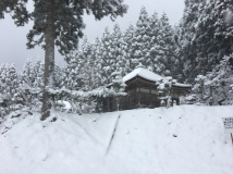 2017年1月14日 雪 - 神光寺