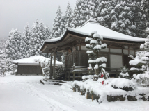 2017年1月14日 雪 = 神光寺