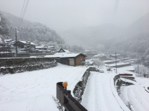 2018年 雪の正月 - 棚田