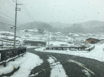 2018年1月27日 雪 - 岩座神橋