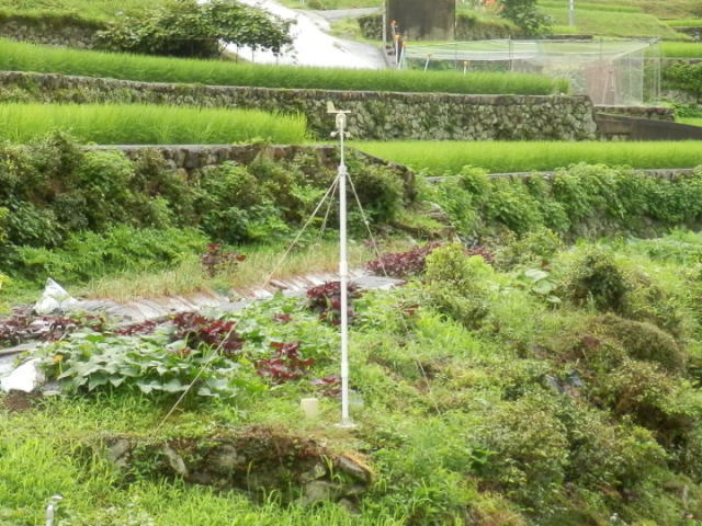 風向風速計と雨量計