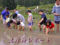 田植え