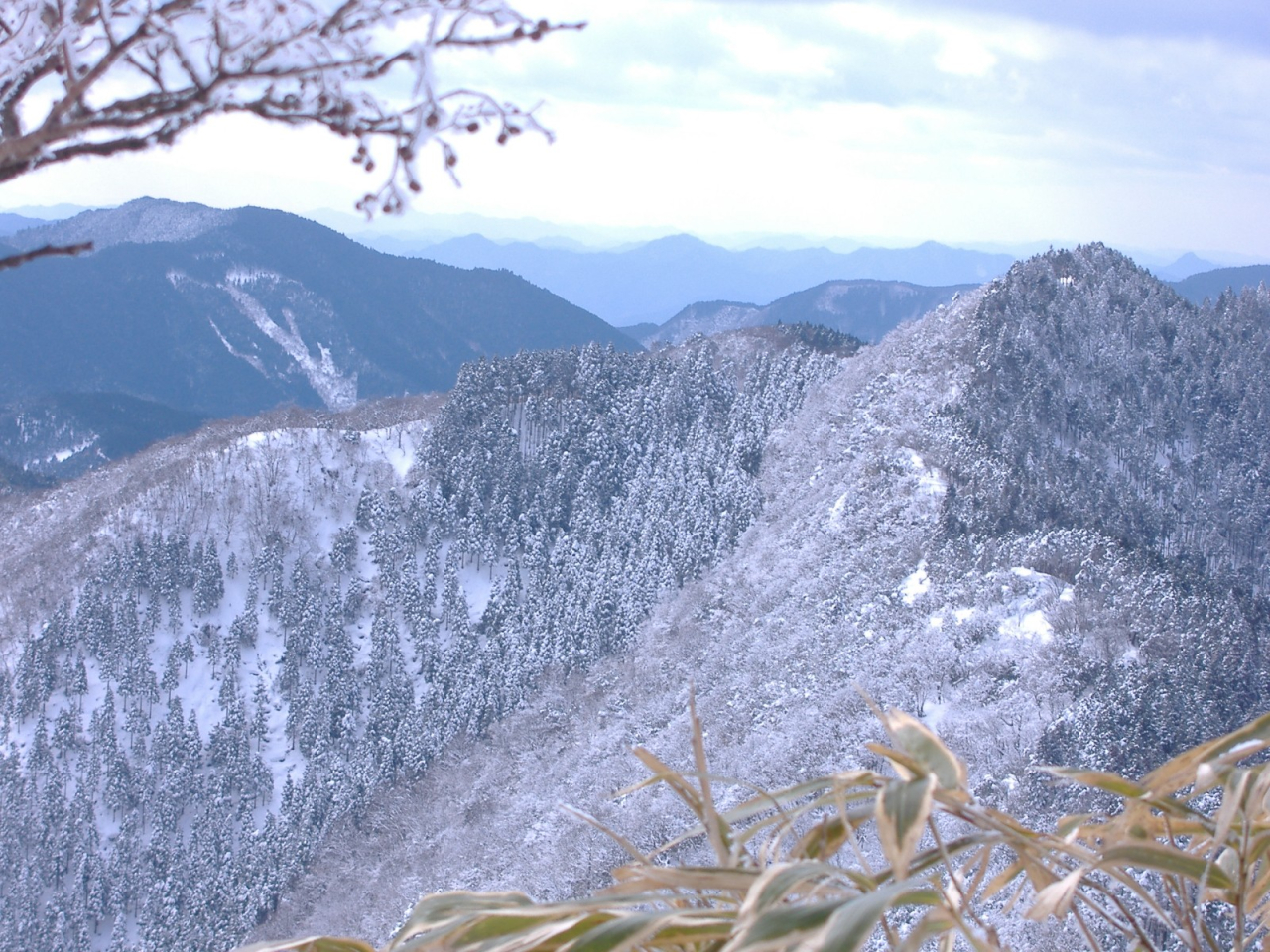 絵日記 2006-01-25 千ヶ峰 - 山頂を望む