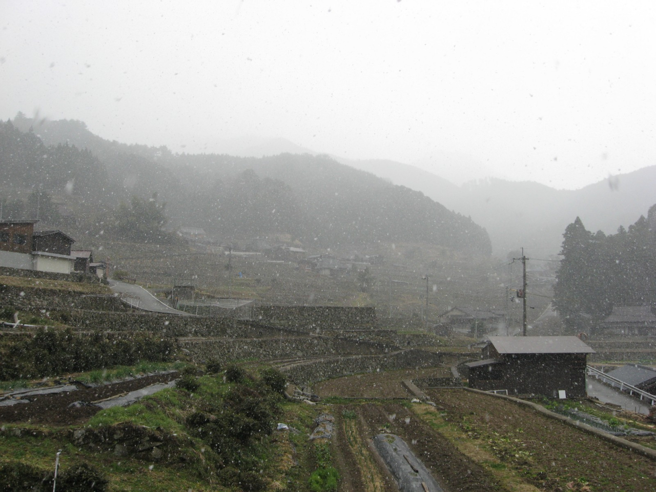 2012年4月7日 雪が舞った