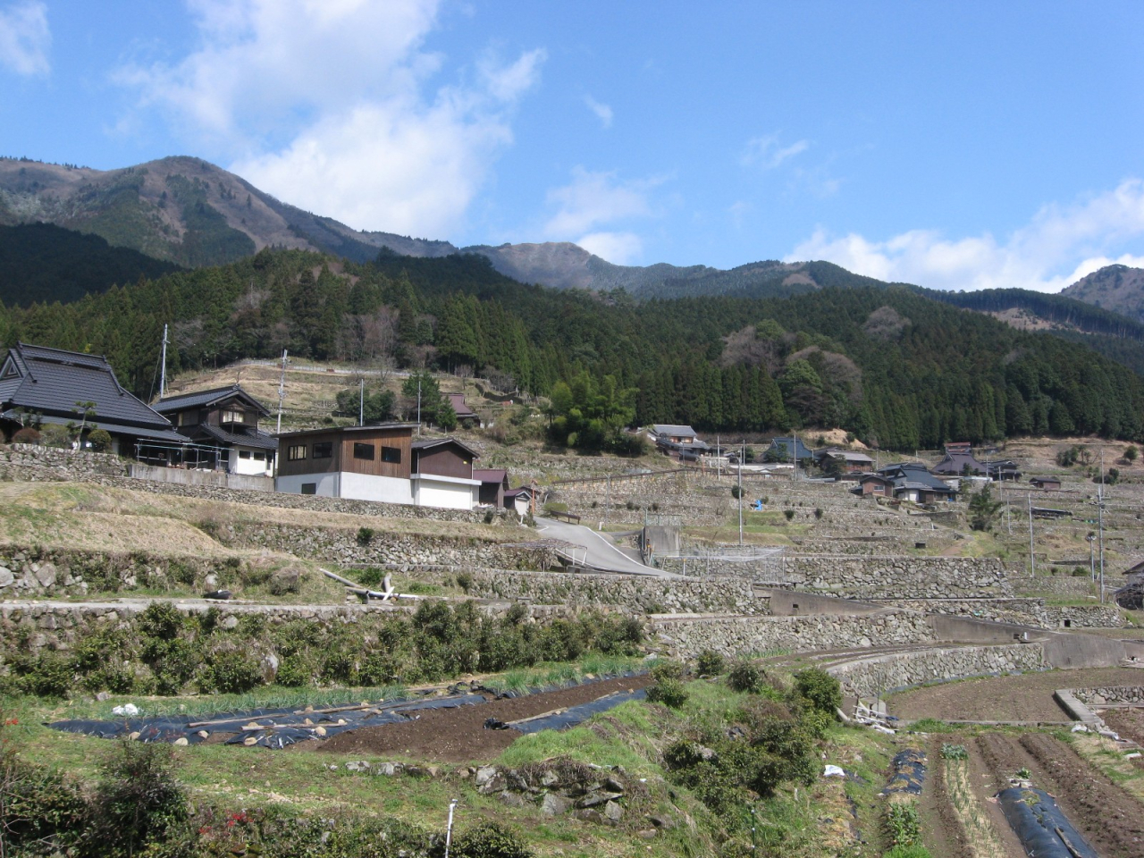 2012年4月7日 晴れた