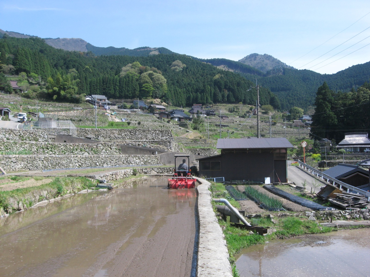 2012年 岩座神のゴールデン・ウィーク - 水田