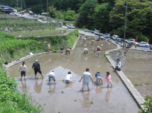 2012年 田植え祭 - 田植え