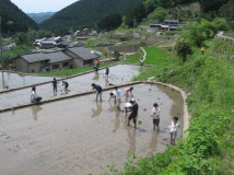 2012年 田植え祭 - 田植え