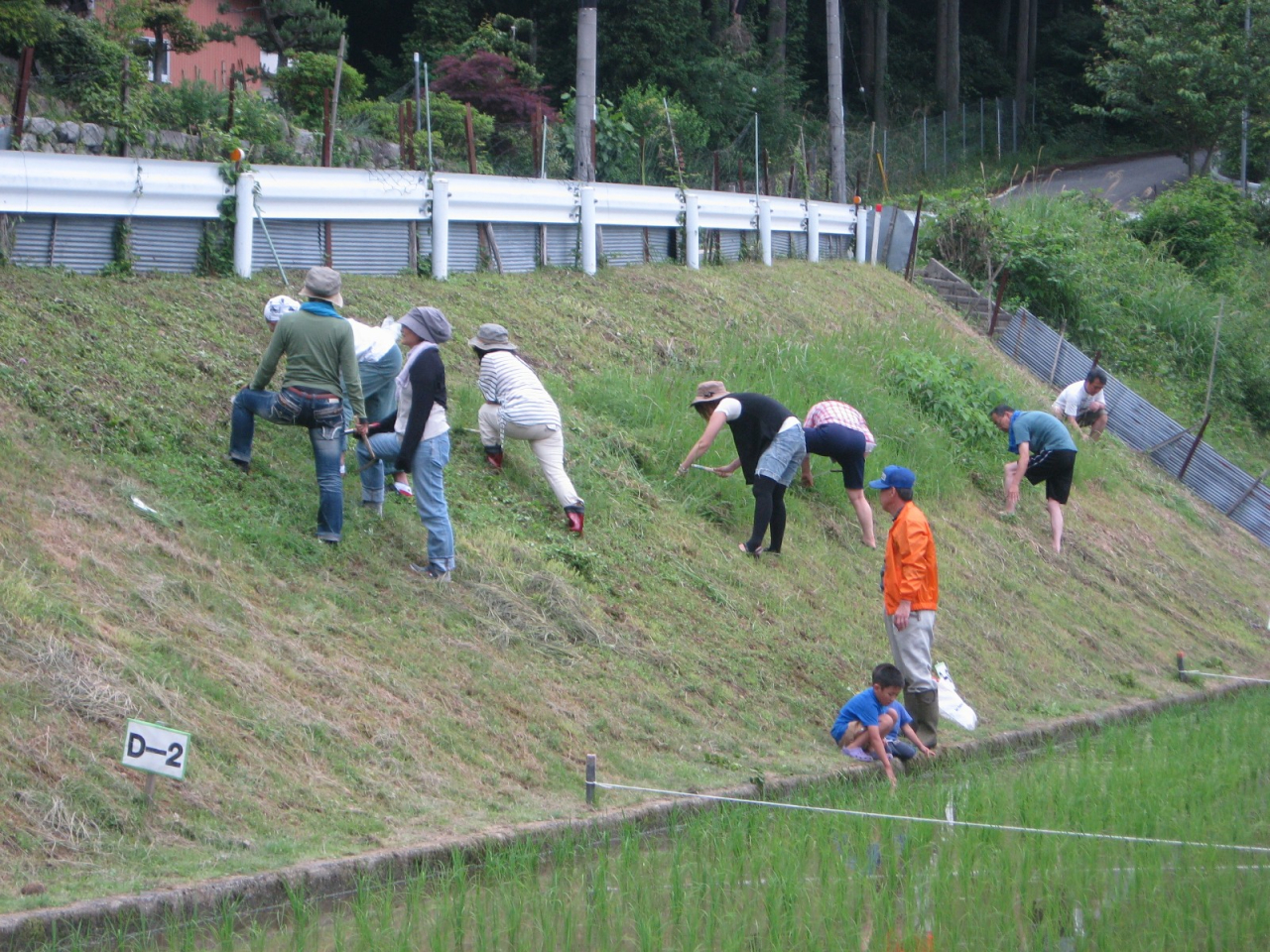 2012年 棚田オーナー 施肥・草刈 - 斜面の草刈