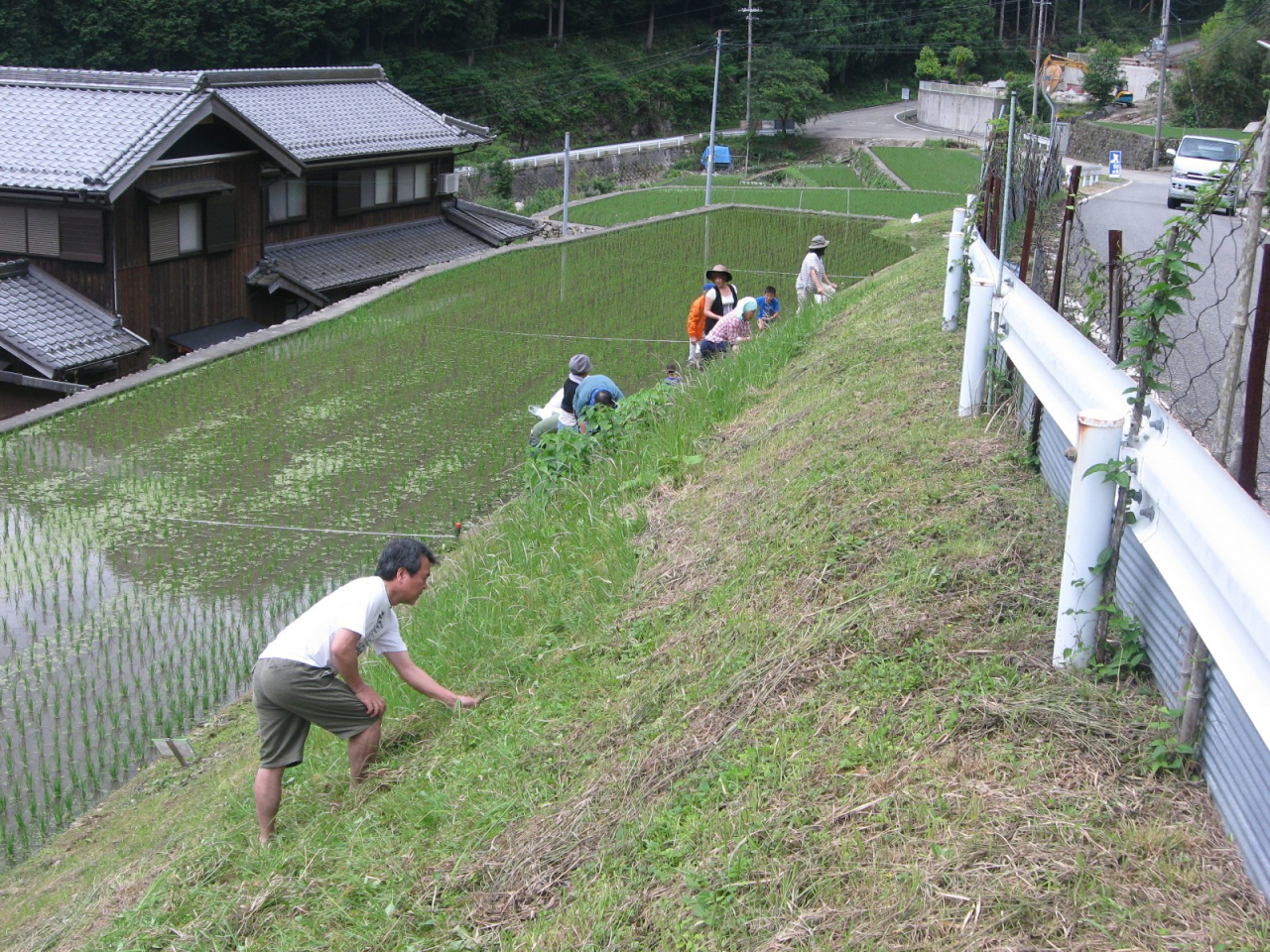 2012年 棚田オーナー 施肥・草刈 - 斜面の草刈