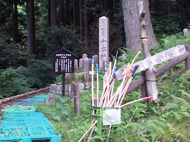 2012年6月27日 千ヶ峰登山 - 千本杉