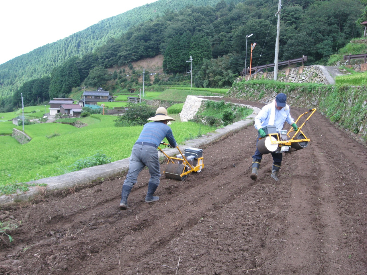 2012年 蕎麦種蒔き - 手押しの種蒔き機