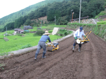 2012年 蕎麦種蒔き - 手押しの種蒔き機