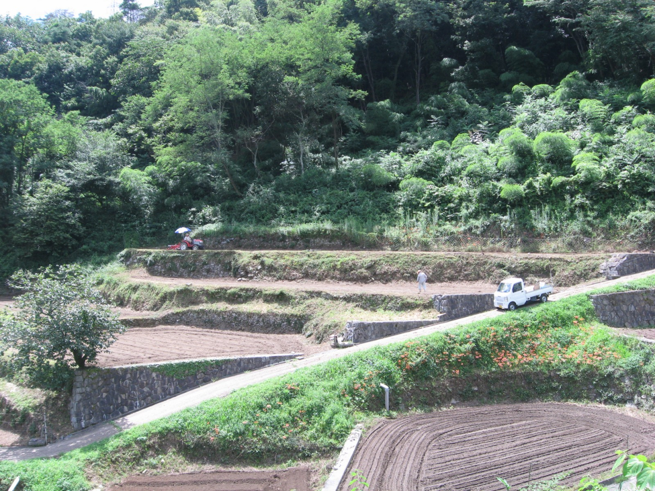 2012年 蕎麦種蒔き - アストラゼネカ山