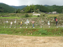 2012年 棚田オーナー稲刈り - 勢揃いした案山子