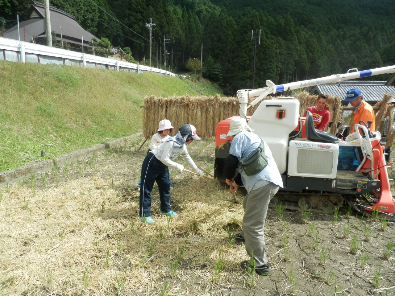 2012年 棚田オーナー収穫祭 - ワラを田んぼにまく