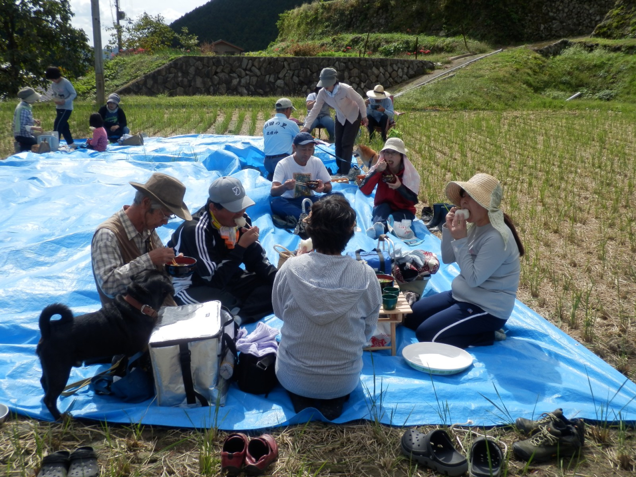 2012年 棚田オーナー収穫祭 - 昼食会（太田さんたち）