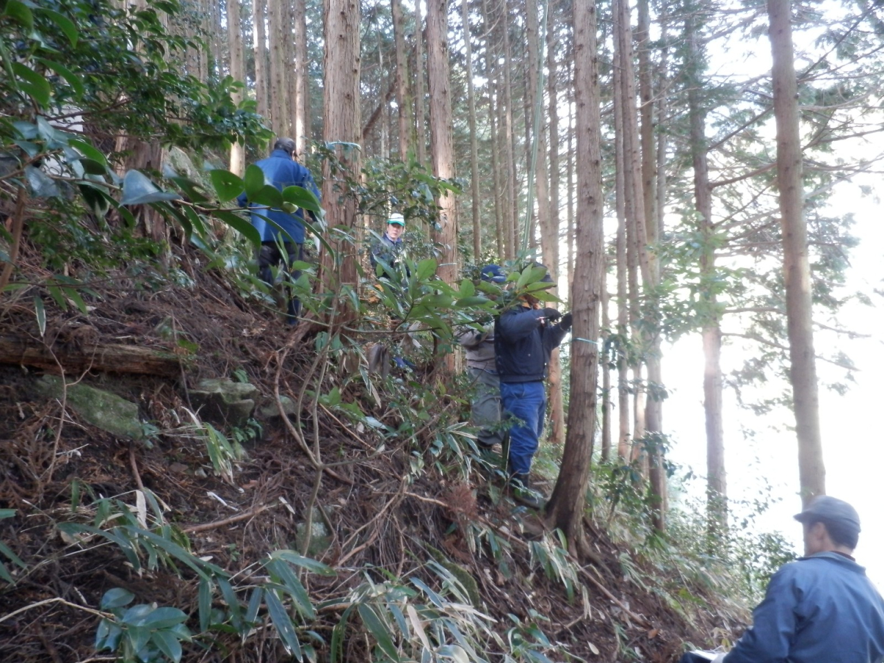 2013年2月 山林整備準備作業