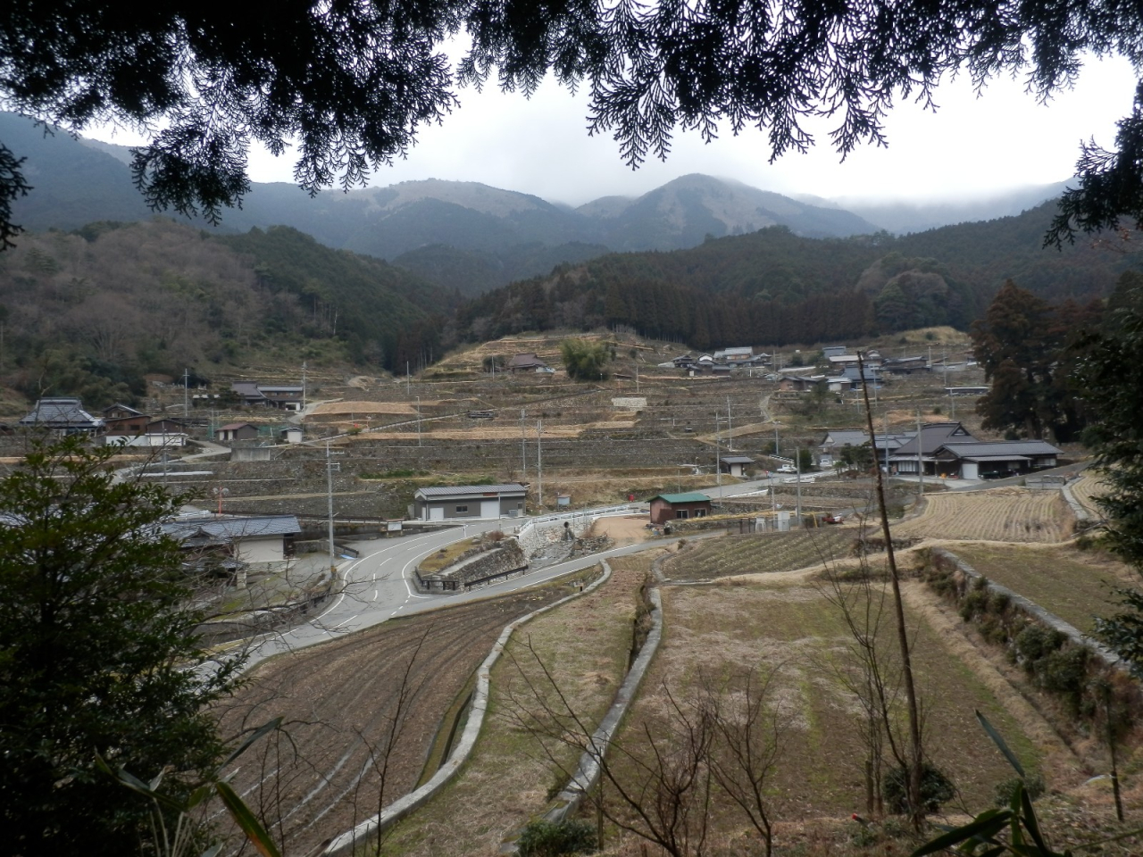 岩座神の棚田