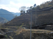 2013年 高知県貝ノ川の棚田を訪問 - 急勾配の棚田