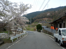 2013年 棚田オーナー 対面式 - 桜が満開