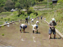 2013年 田植え祭 - B区画田植