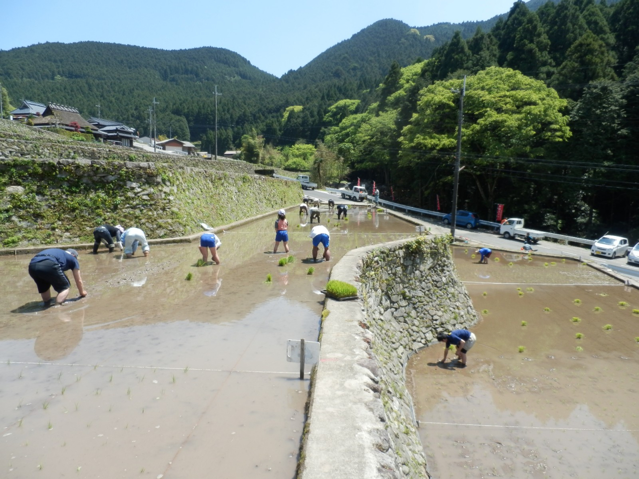 2013年 田植え祭 - A区画とB区画