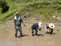 2013年 田植え祭 - 又賀編集長