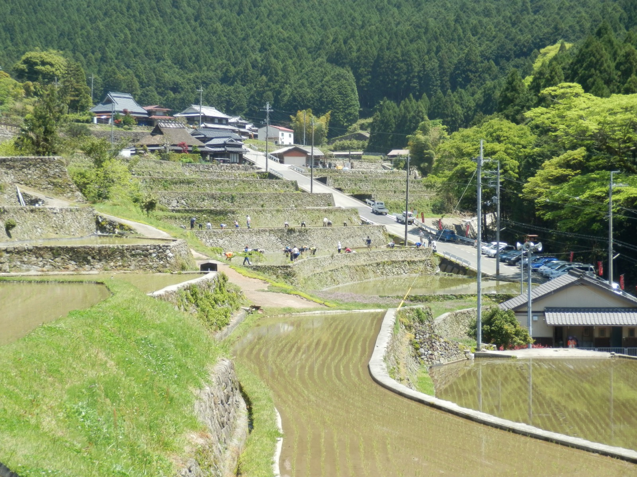 2013年 田植え祭 - A区画B区画遠景