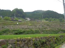 2013年 棚田オーナー 施肥・草刈 - オーナー田遠景