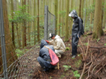 2013年 秋の宮普請 - 穴を補修する