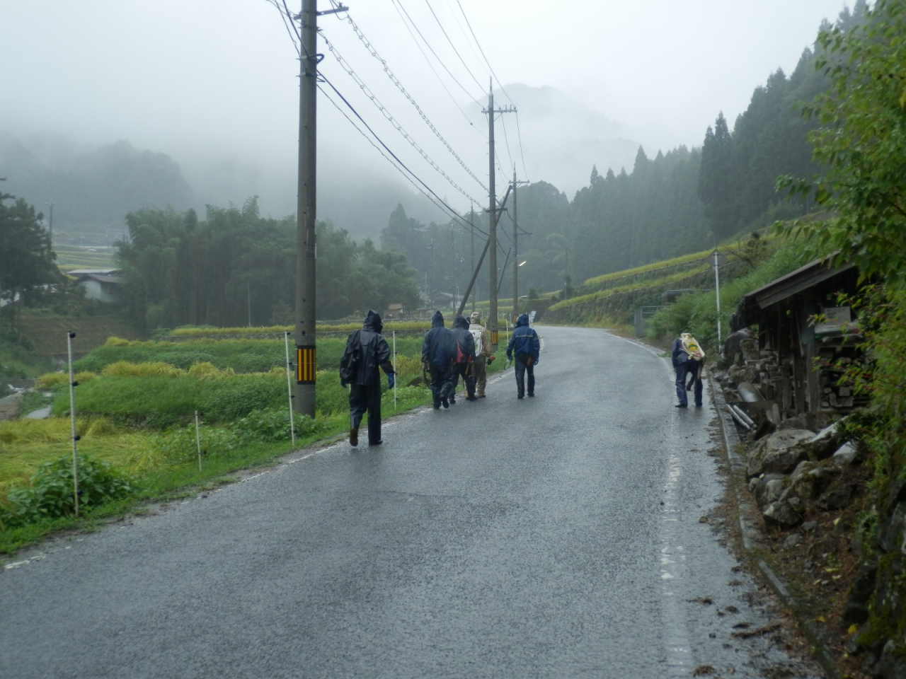 2013年 秋の宮普請 - 雨