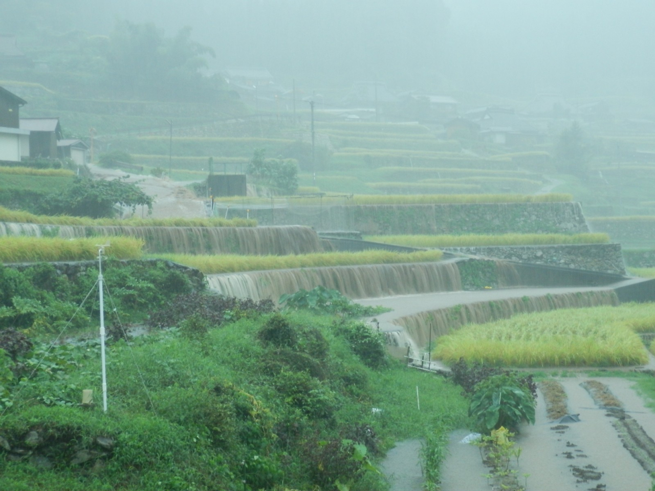 2013年9月2日 集中豪雨 - 滝のようにあふれる水