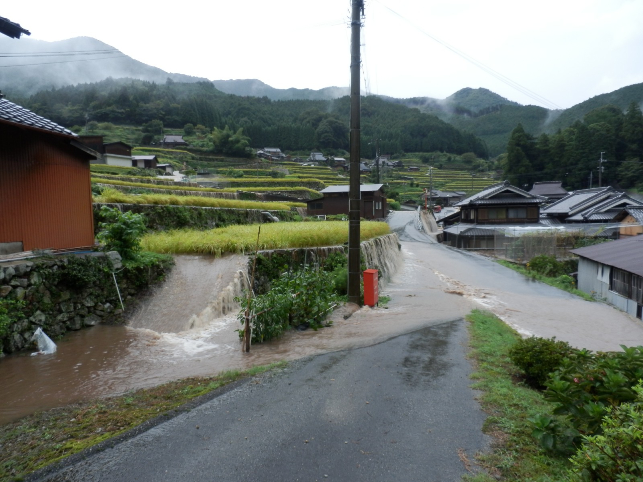 2013年9月2日 集中豪雨 - 田圃と道