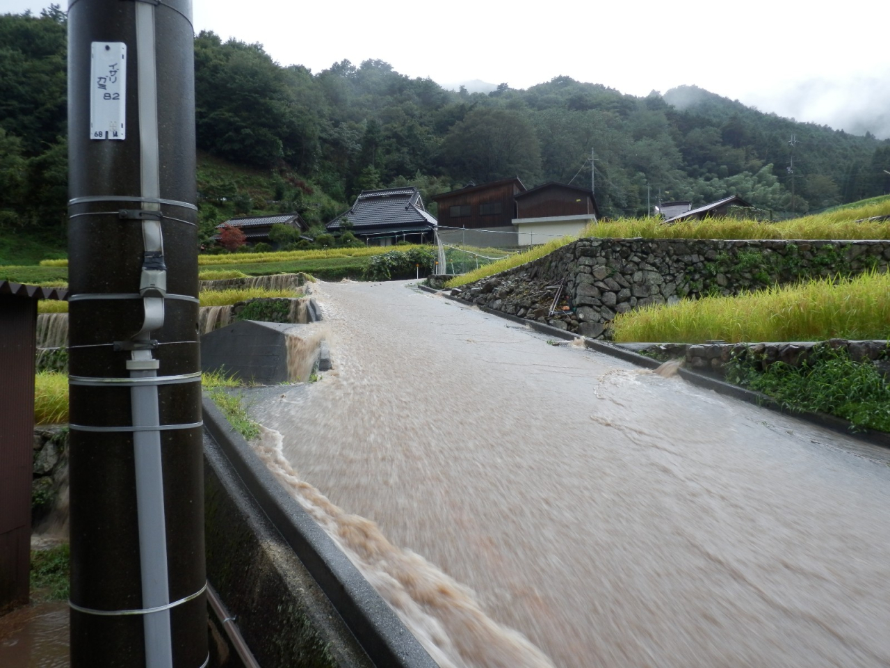 2013年9月2日 集中豪雨 - 坂道を流れ下る水