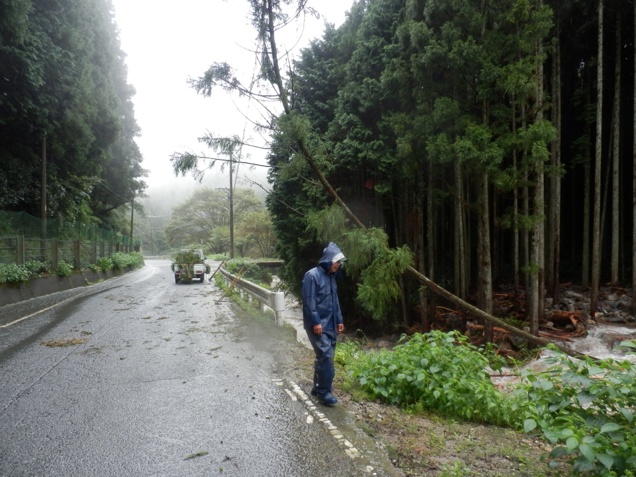 2013年9月2日 集中豪雨 - 架線にもたれる倒木