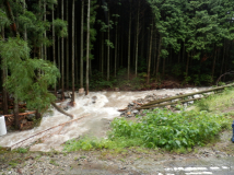 2013年9月2日 集中豪雨 - 林の中へ流れ込む水