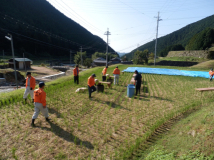 2013年 棚田オーナー収穫祭 - 豚汁の釜を設営