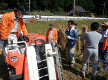 2013年 棚田オーナー収穫祭 - 脱穀作業 C区画