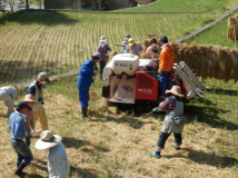 2013年 棚田オーナー収穫祭 - 脱穀作業 A区画