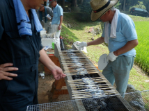 2014年 案山子祭 - アマゴの塩焼