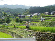 2014年 案山子祭 - 案山子を立てる