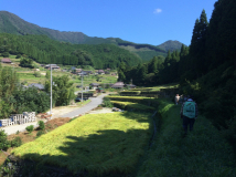 2014年 秋の宮普請 - 良い天気