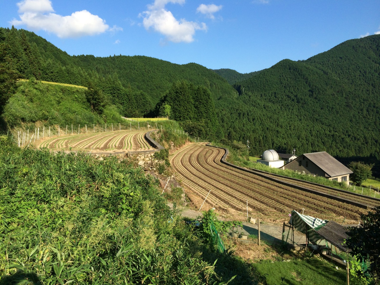 2014年 秋の宮普請 - 良い天気