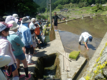 2015年 棚田オーナー田植え祭 - 田植技術指導