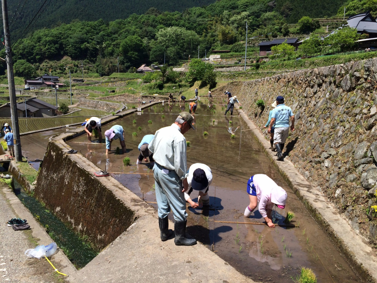 2015年 棚田オーナー田植え祭 - B区画