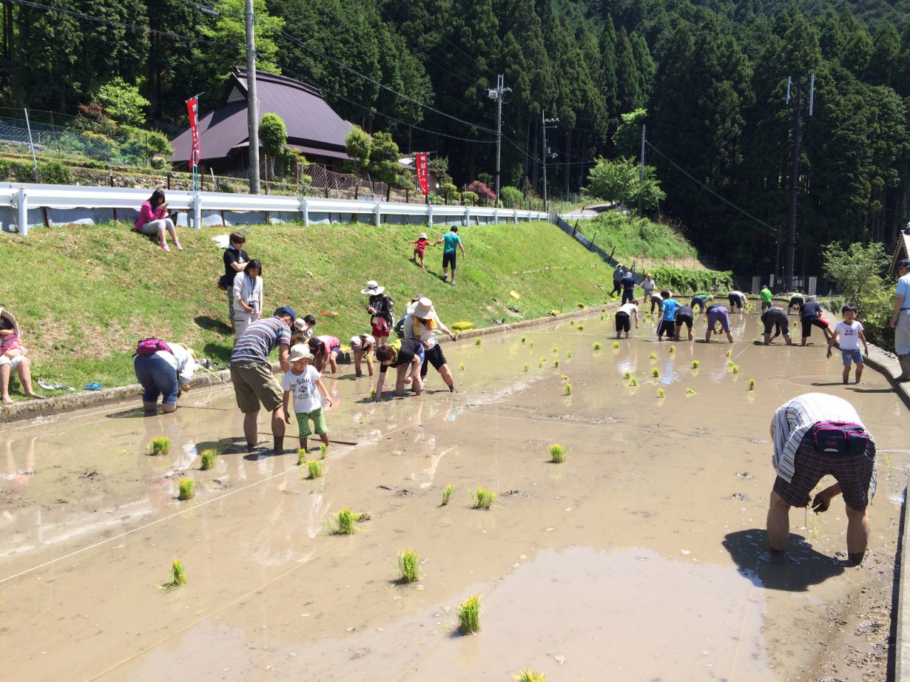 2015年 棚田オーナー田植え祭 - C区画